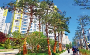 권기욱 교수, 천연 황토로 '수목 보호재' 개발한다
