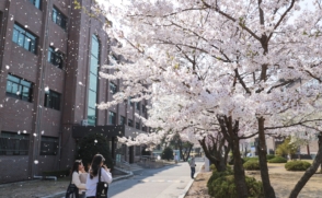 삼육대학교 교육혁신원 교수학습개발센터 연구원(계약직) 채용 재공고